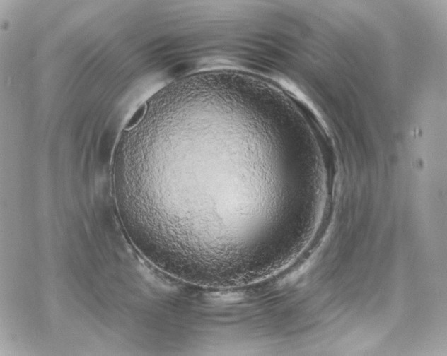 X0000070871145200606161159