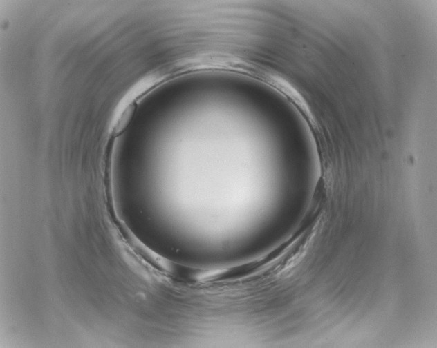 X0000070871146200606161159