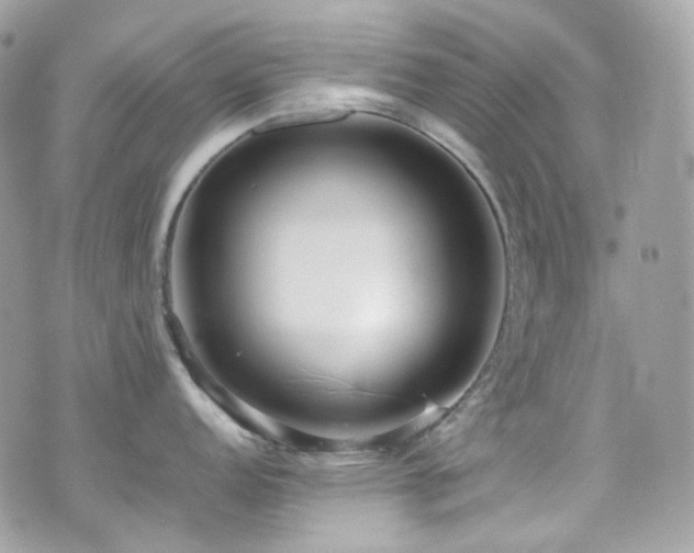 X0000070871152200606161159