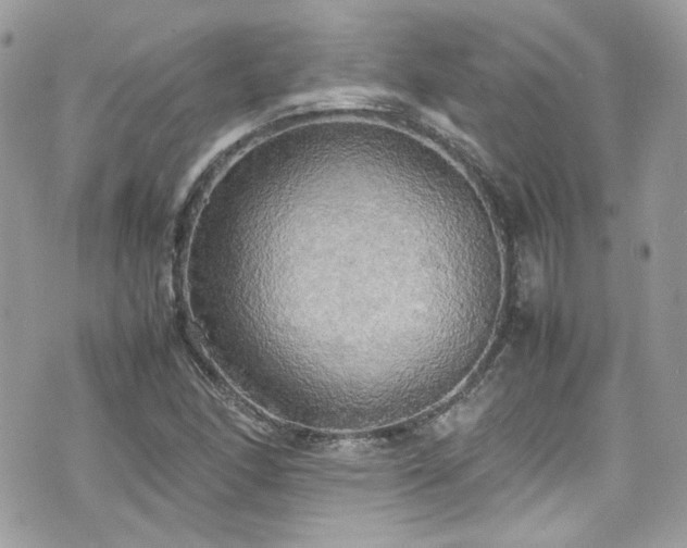 X0000070871166200606161158
