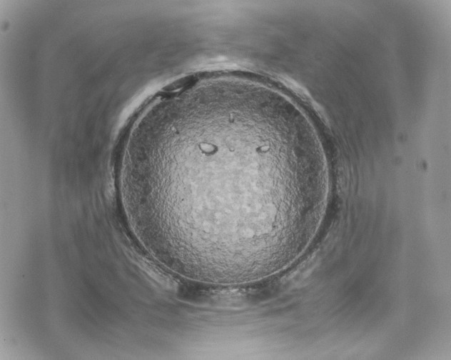 X0000070871167200606161158