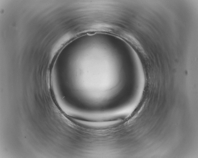 X0000070871180200606161158
