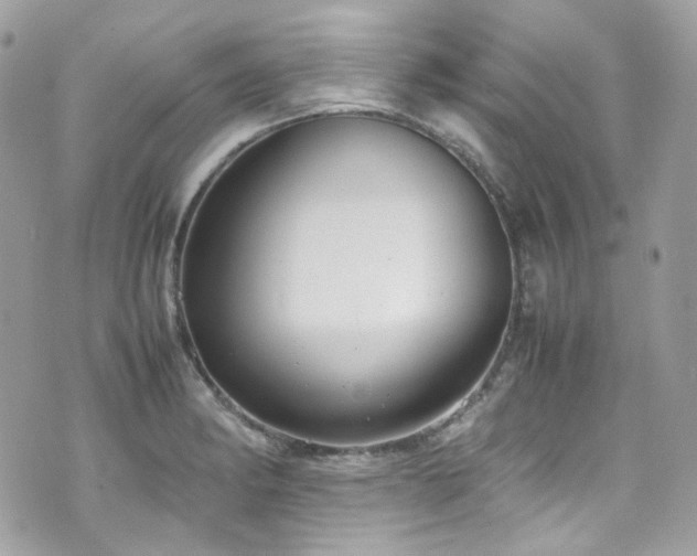 X0000070871182200606161158