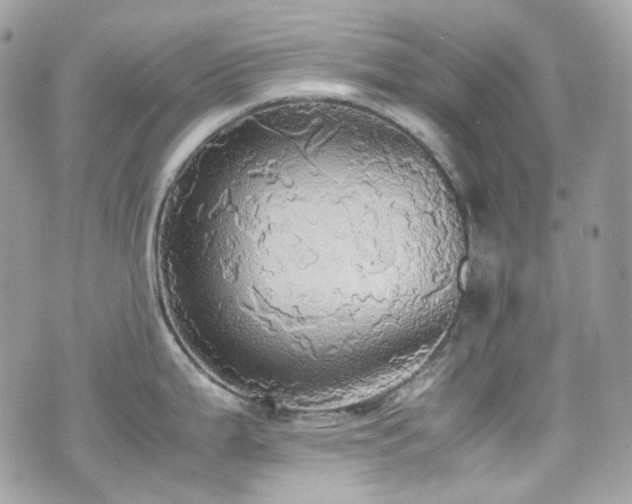X0000070871199200606161158
