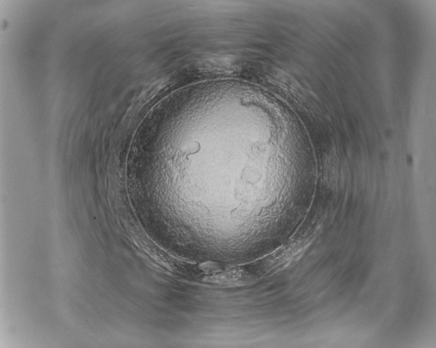 X0000070871201200606161157
