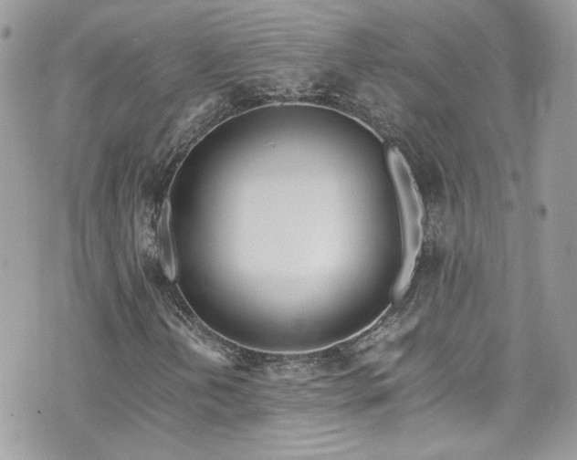 X0000070871202200606161157