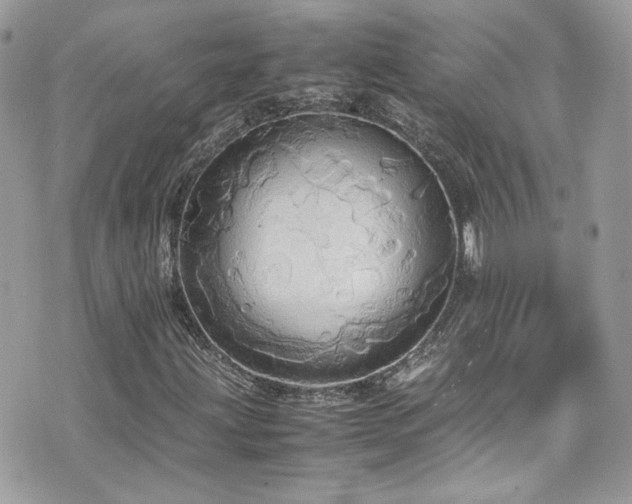 X0000070871203200606161157