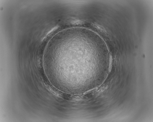 X0000070871205200606161157