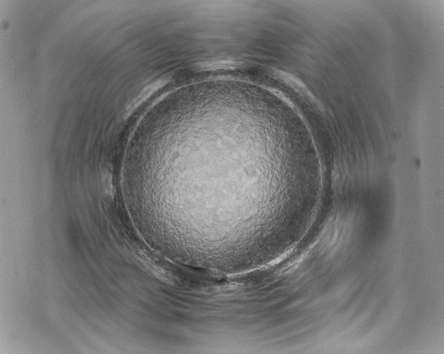 X0000070871209200606161157