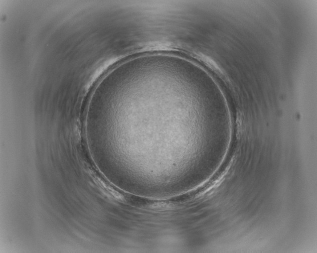 X0000070871212200606161157
