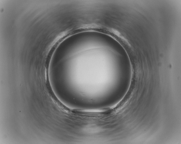 X0000070871221200606161157
