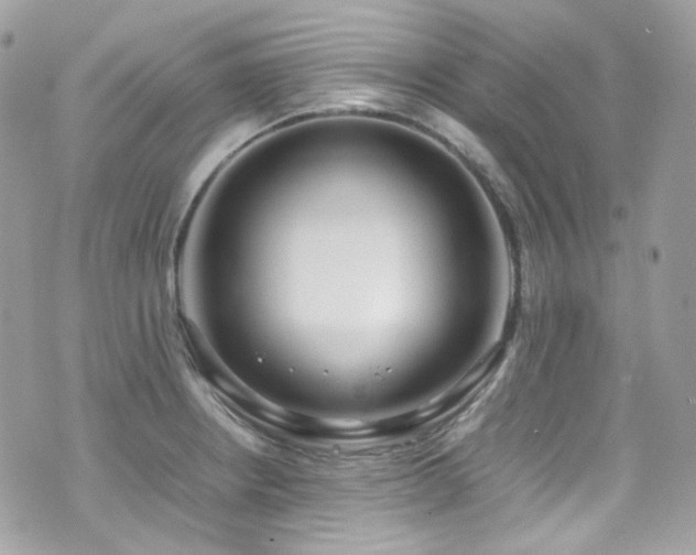 X0000070871234200606161157