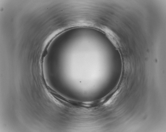 X0000070871238200606161157