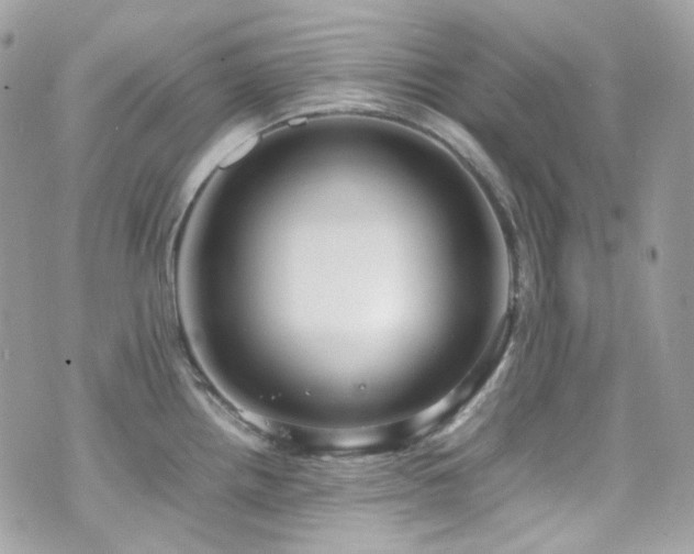 X0000070871242200606161157