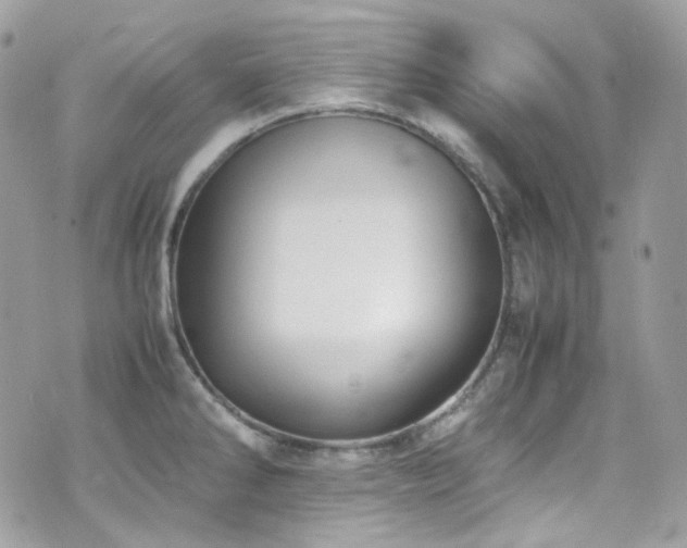 X0000070871286200606161156