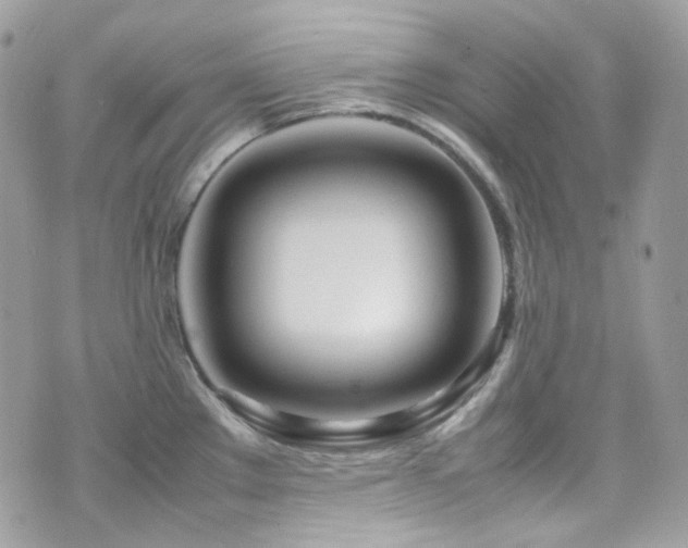 X0000070871289200606161156