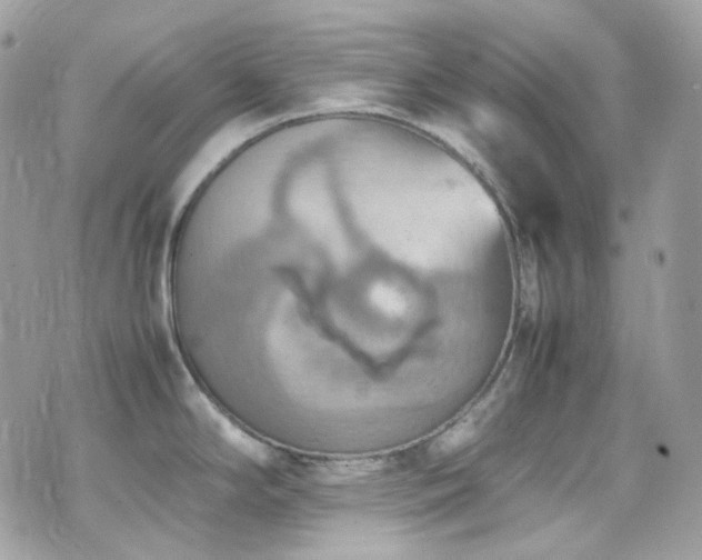 X0000070871294200606161156