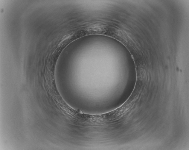 X0000070871297200606161155