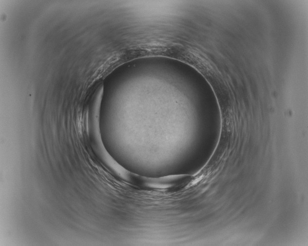 X0000070871298200606161155