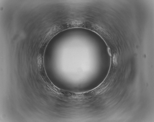 X0000070871299200606161155