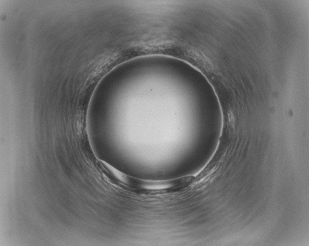 X0000070871300200606161155