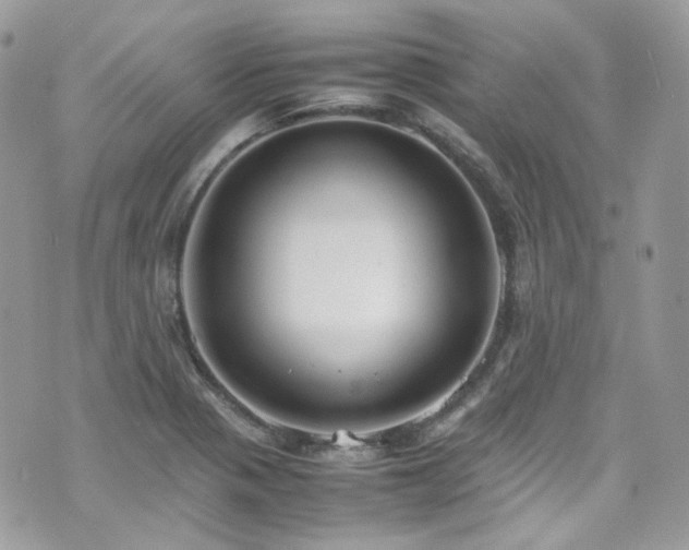 X0000070871321200606161156