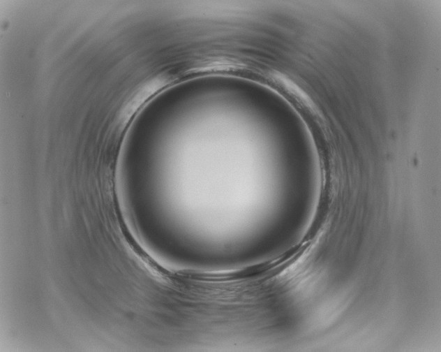 X0000070871329200606161156