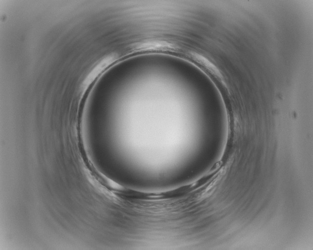 X0000070871330200606161156