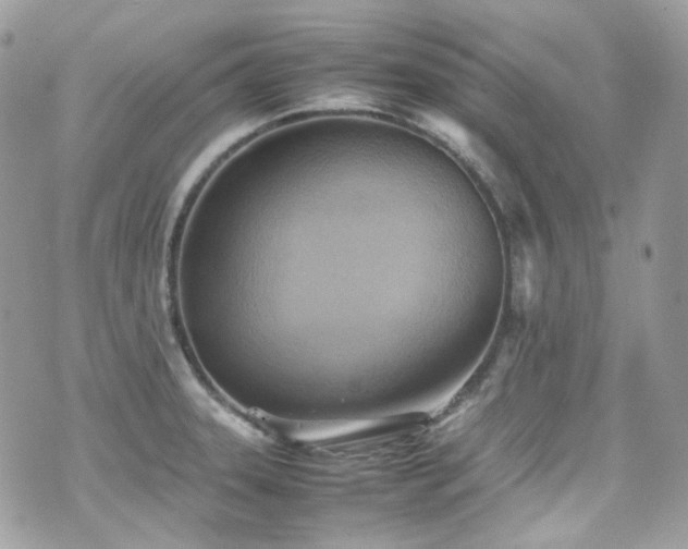 X0000070871331200606161156
