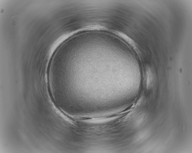 X0000070871335200606161156