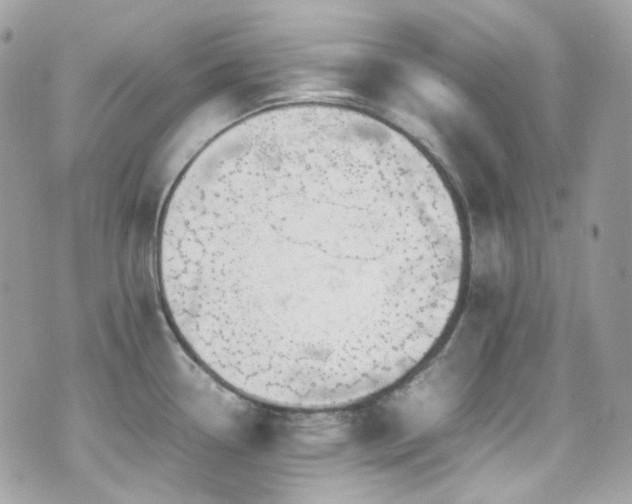 X0000070871338200606161156