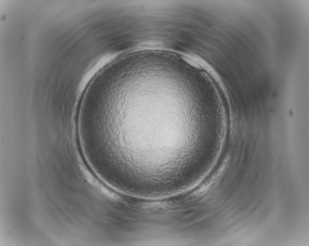 X0000070871341200606161156