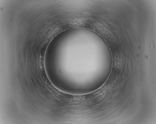 X0000070871346200606161155