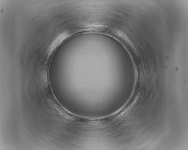 X0000070871362200606161155