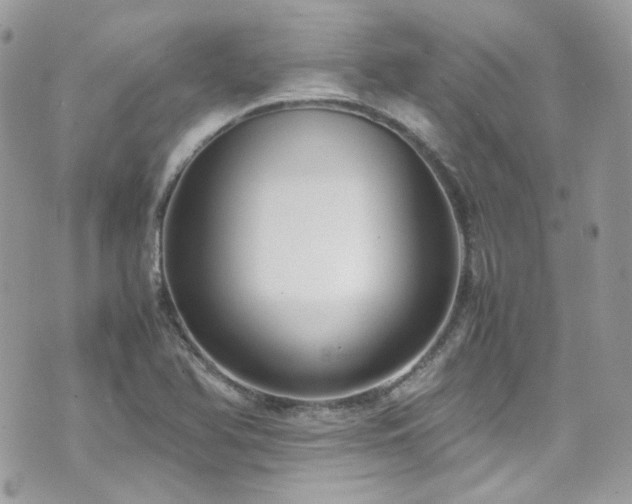 X0000070871366200606161155