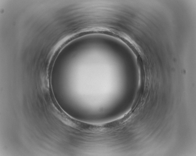 X0000070871372200606161155