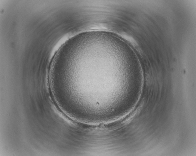 X0000070871374200606161155