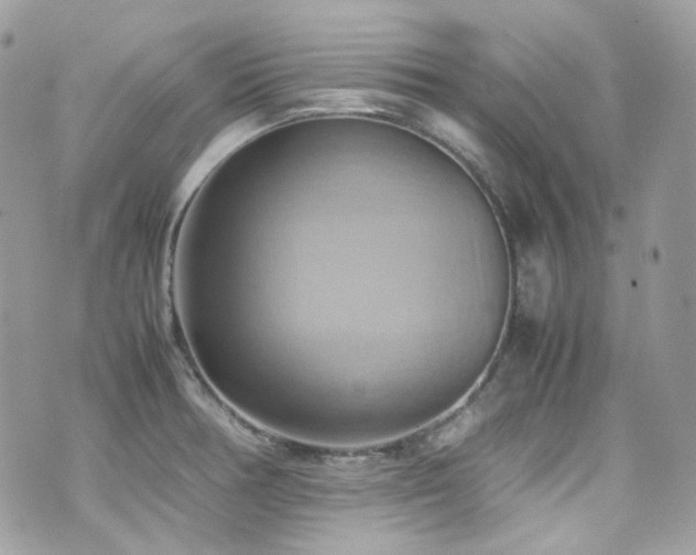 X0000070871378200606161155