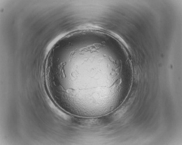 X0000070871387200606161154