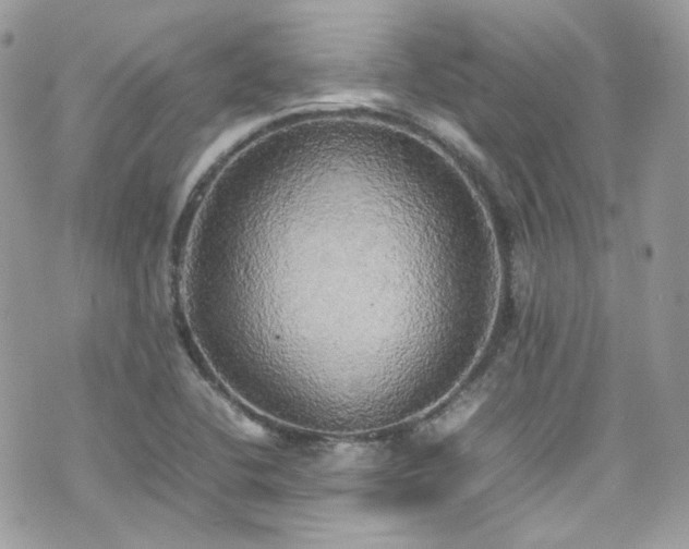 X0000070871412200606161154
