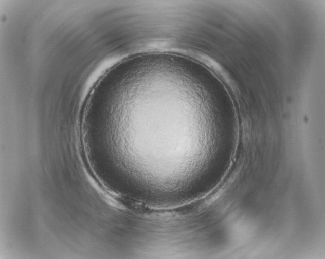 X0000070871432200606161154