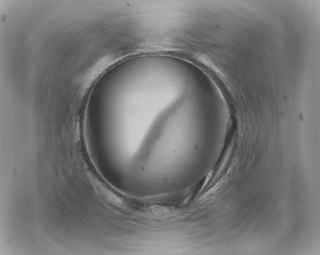 X0000070871459200606161153