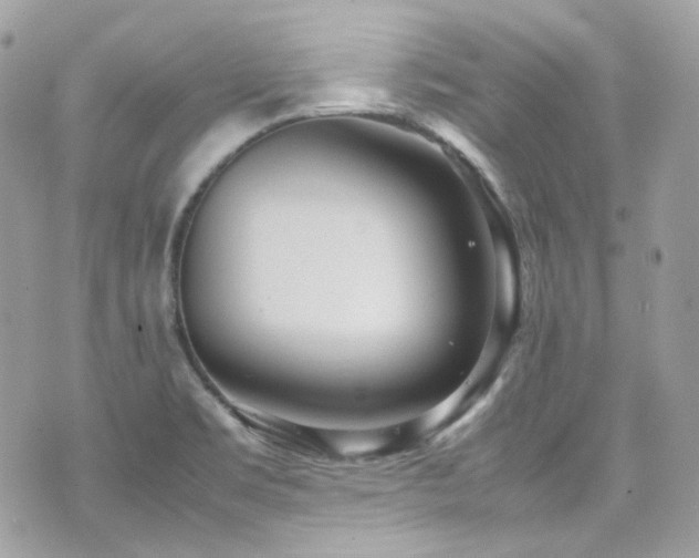 X0000070871469200606161153