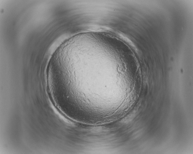 X0000070871479200606161153