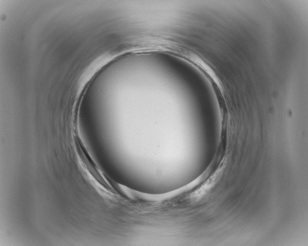 X0000070871485200606161153