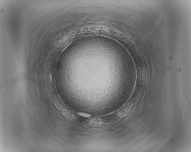 X0000070871489200606161152