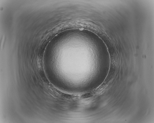 X0000070871490200606161152