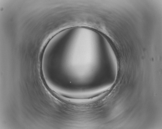 X0000070871508200606161152