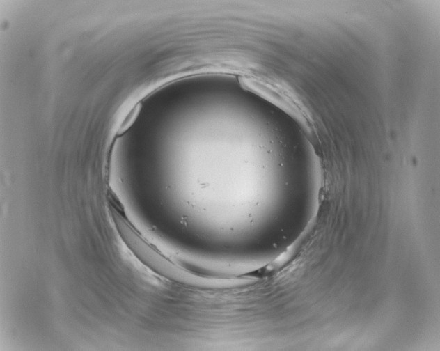 X0000070871532200606161153
