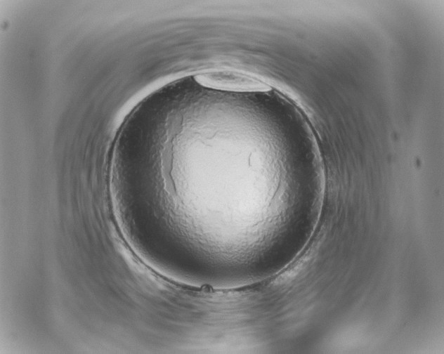 X0000070871534200606161153